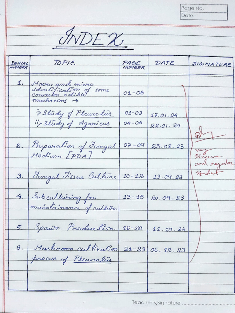 SEC Practical SEM - 1 | PDF