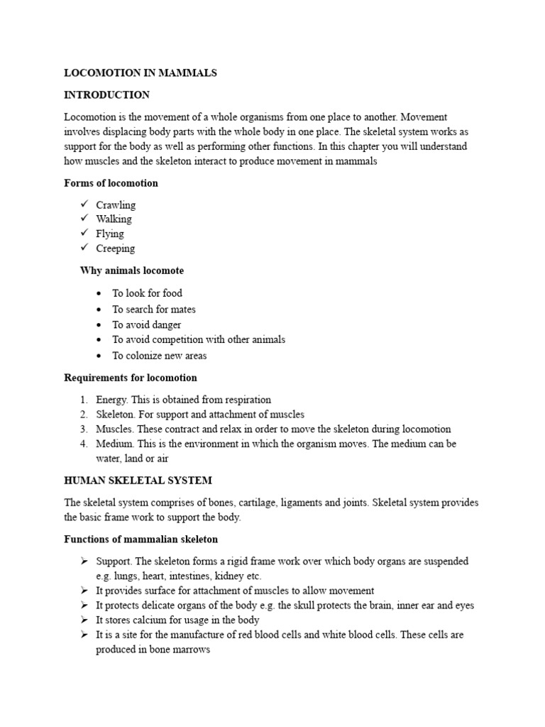Mammal Locomotion and Skeletal System | PDF | Vertebra | Vertebral Column