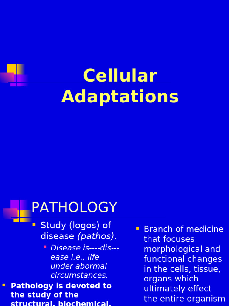 Cellular Adaptations in Pathology | PDF | Epithelium | Cellular ...