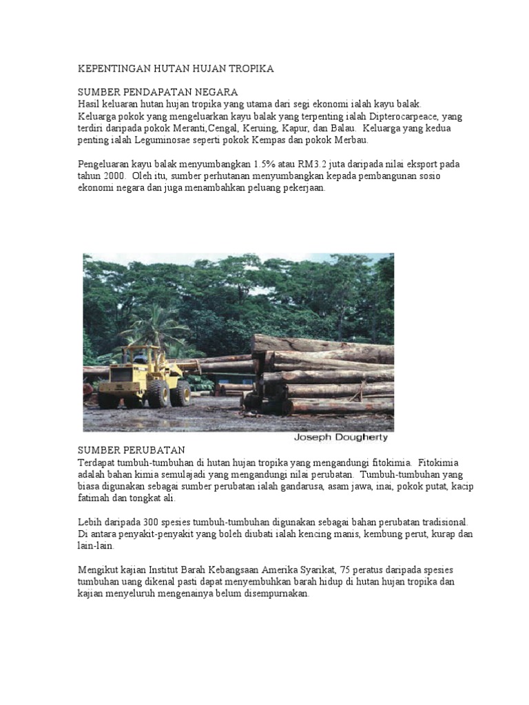Kepentingan Hutan Hujan Tropika Pdf