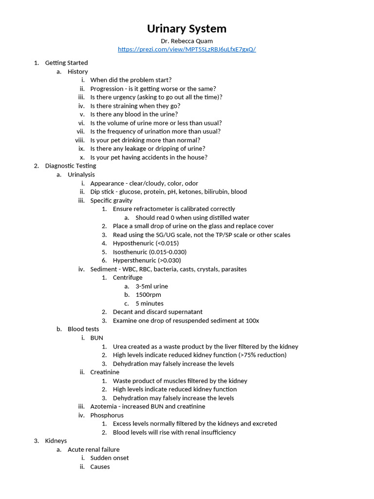 Understanding Urinary System Disorders | PDF | Urine | Urinary Tract ...