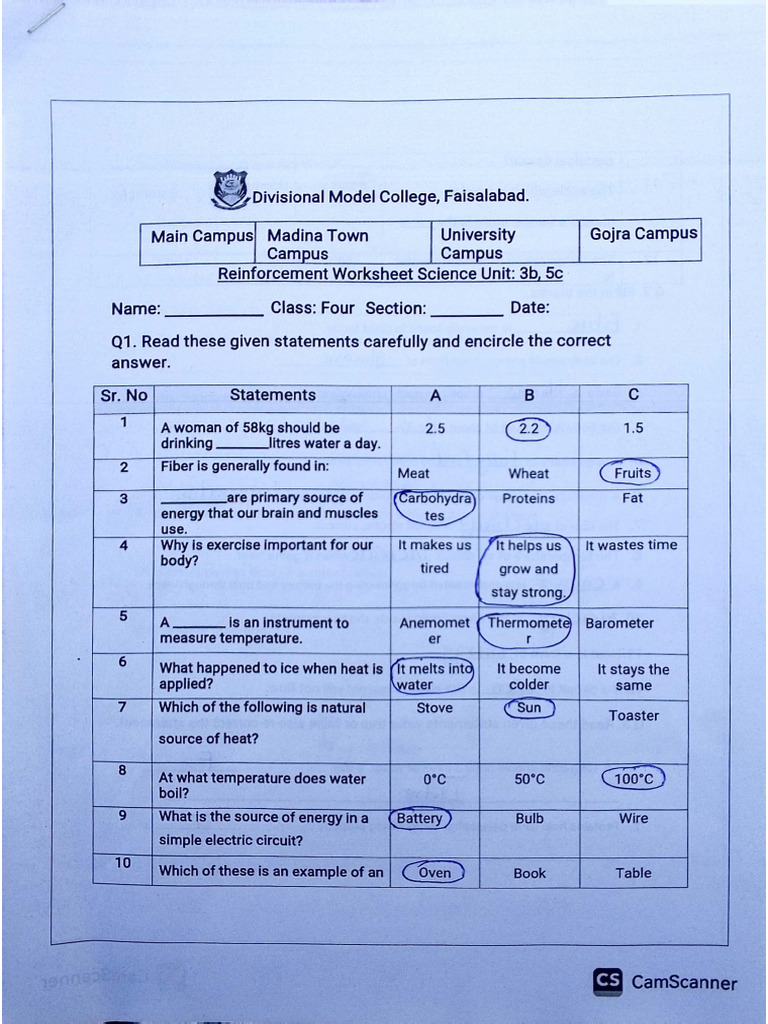Solved Worksheet of Unit 3b and 5c | PDF