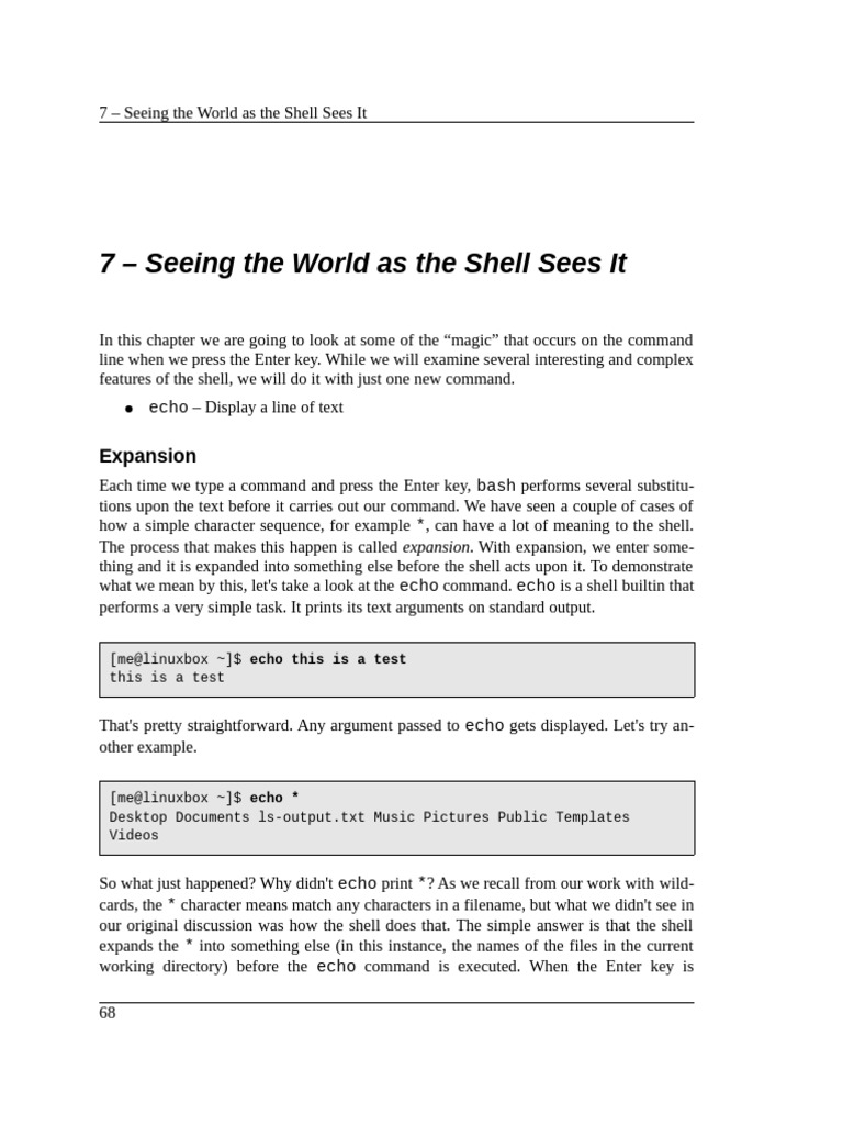 Shell Command Expansion Explained | PDF | Filename | Command Line Interface