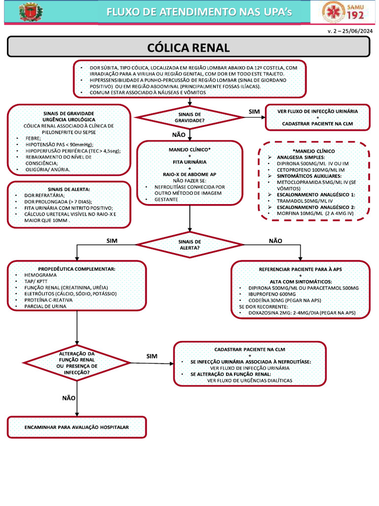 Cólico Renal | PDF