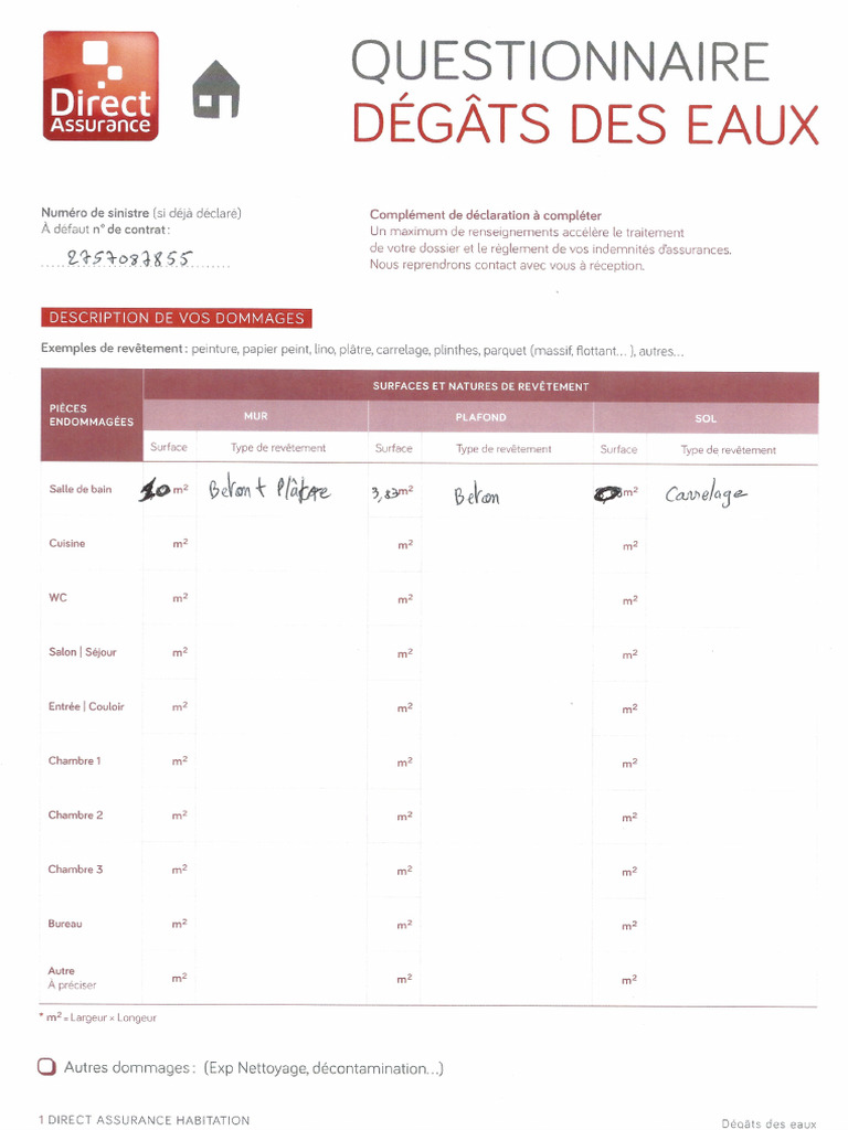 Questionnaire Direct Assurance | PDF