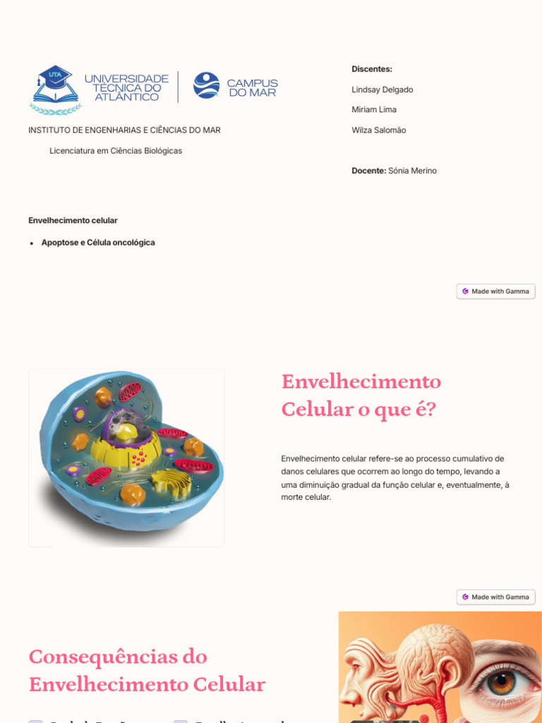 Envelhecimento Celular e Apoptose | PDF | Apoptose | Câncer