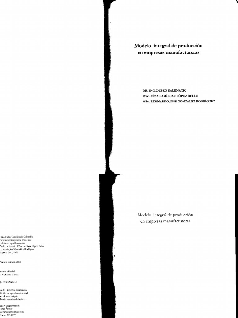 Modelo Integral | PDF