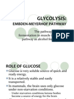 Glycolysis