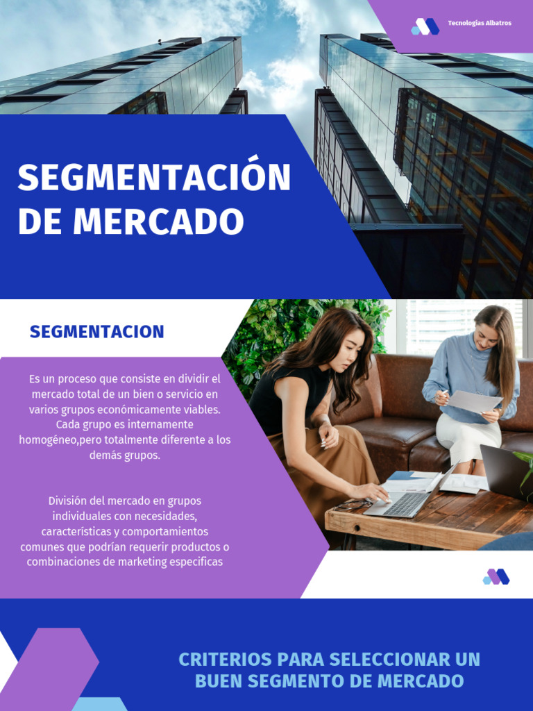Segmentacion de Mercados | PDF | Segmentación de mercado | Marketing