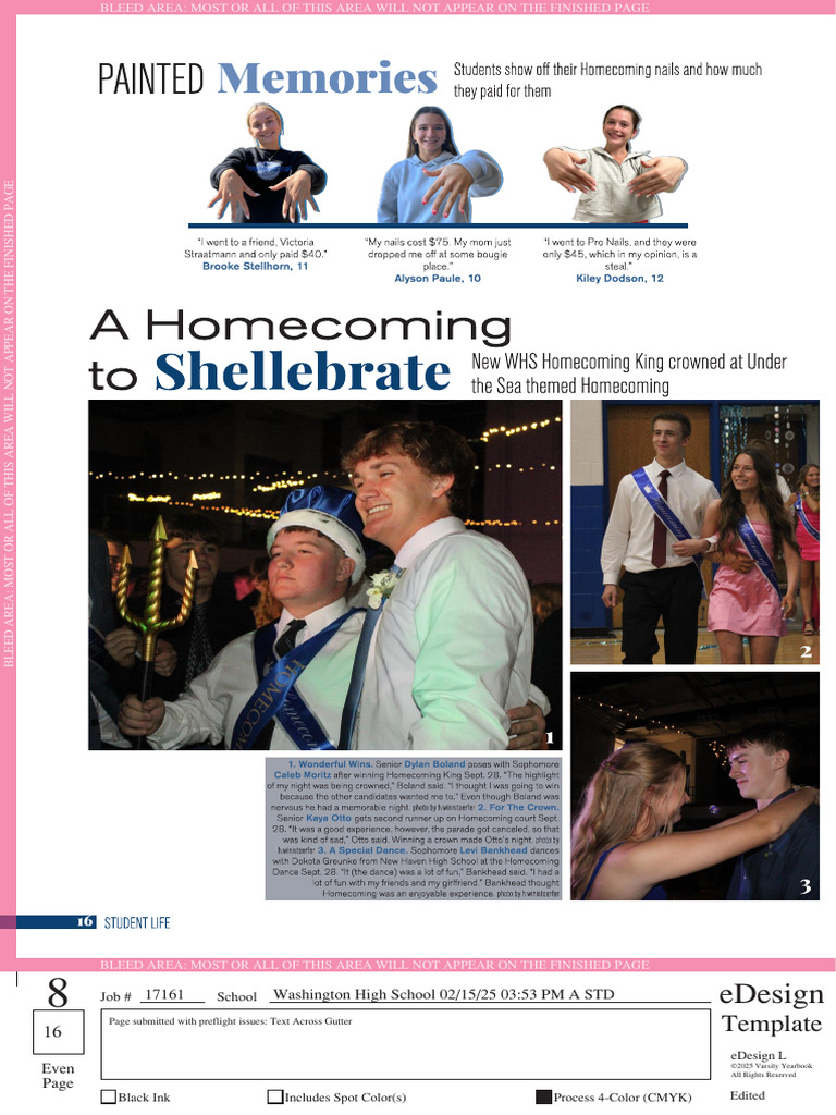 Hoco Design Template Overview | PDF | Visual Perception | Communication ...