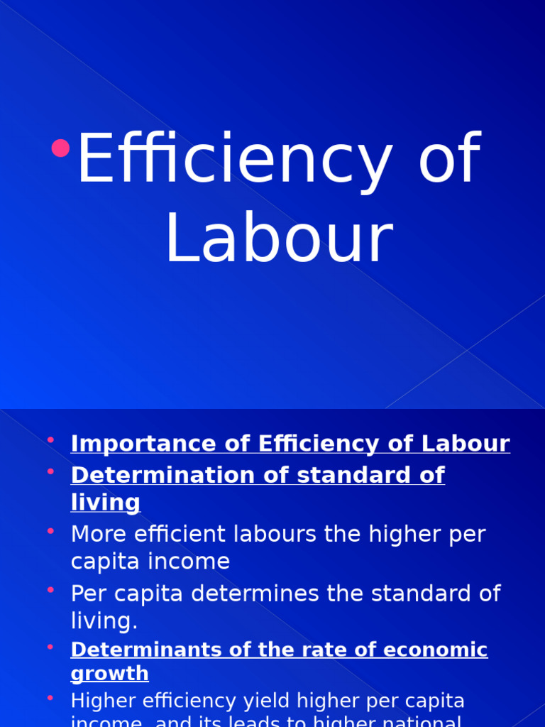 Efficiency of Labour1 | PDF | Labour Economics | Employment