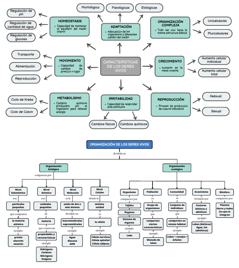 Organizador Visual de Seres Vivos | PDF | Organismos | Biología Celular)