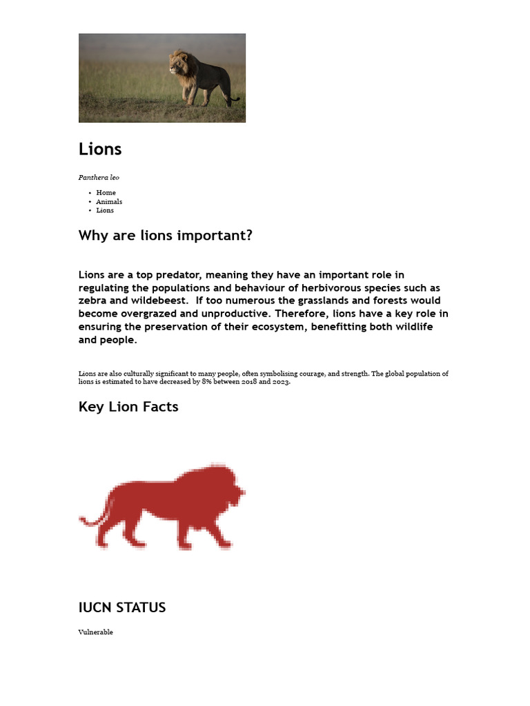 Importance and Conservation of Lions | PDF | Lion | Hunting