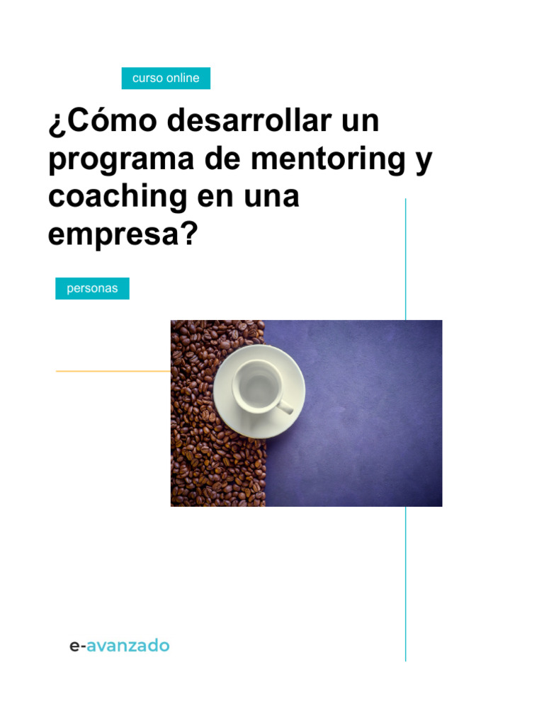 Guía Didáctica - Cómo Desarrollar Un Programa de Mentoring y Coaching ...