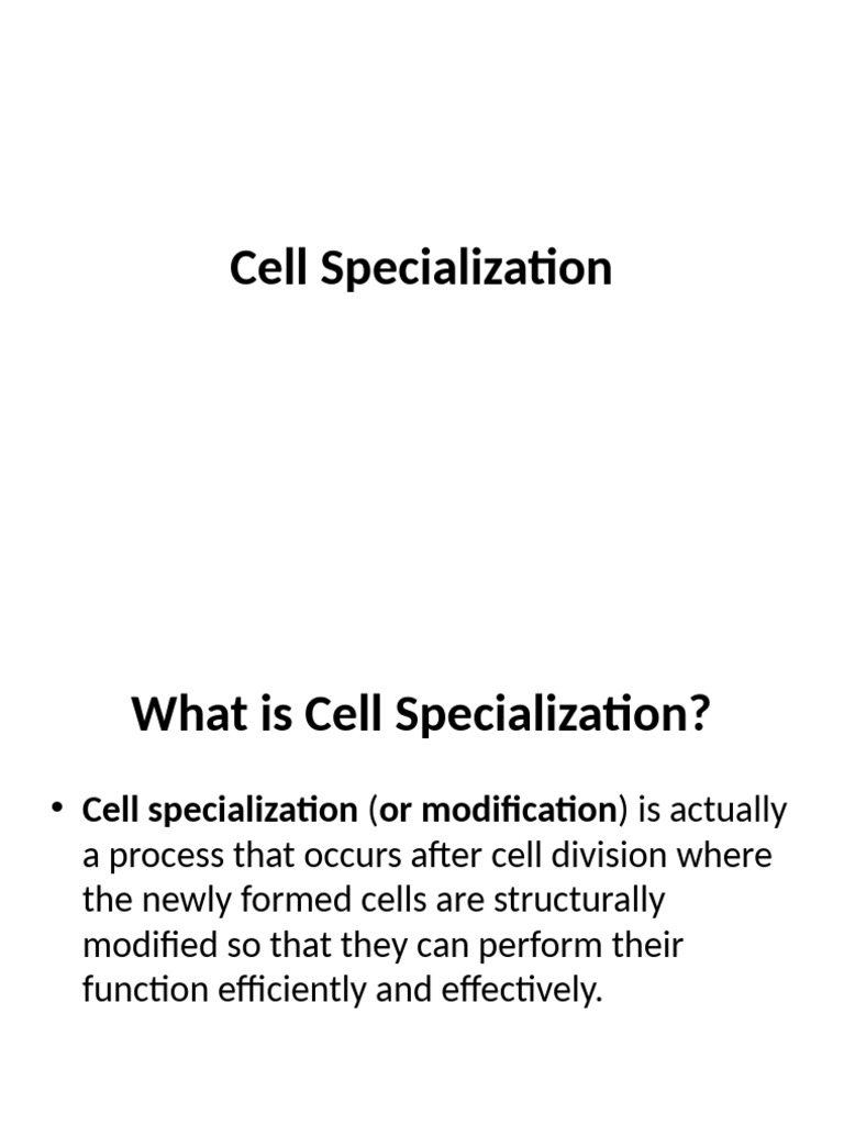 Understanding Cell Specialization | PDF | Cell (Biology) | Tissue (Biology)
