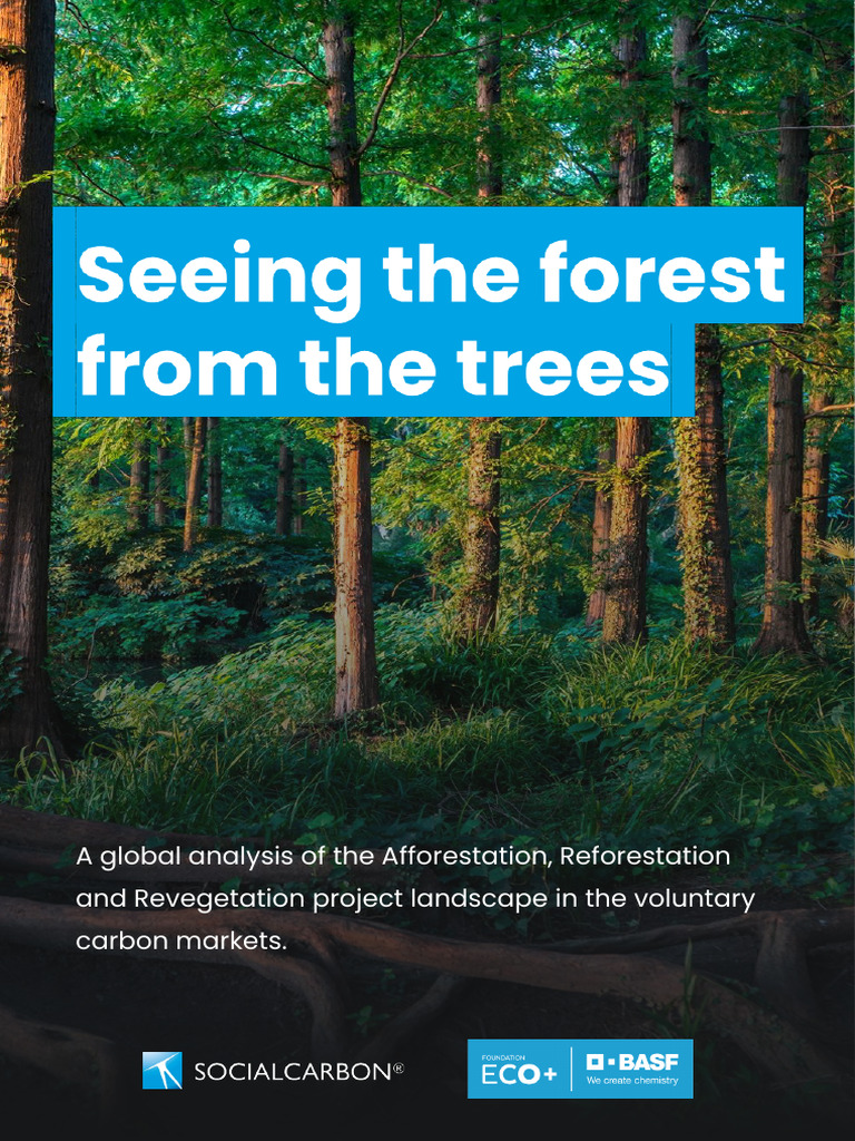 Seeing The Forest From The Trees | PDF | Forests | Ecological Restoration