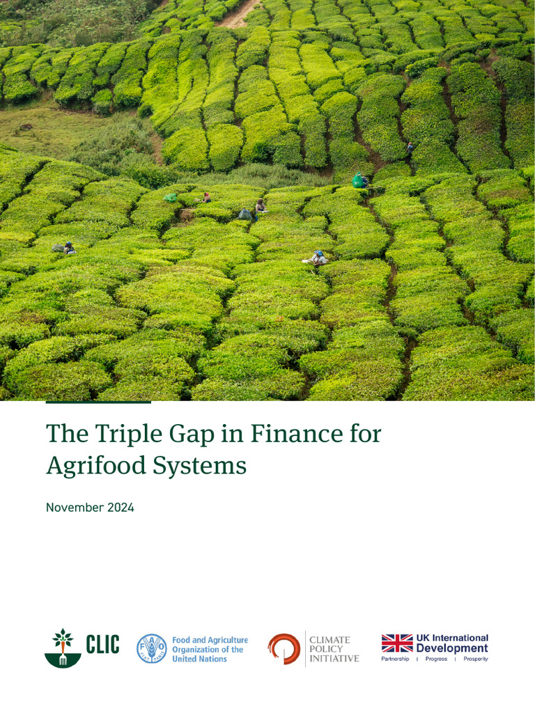 The Triple Gap in Climate Finance Needs For Agrifood Systems 2024 | PDF ...