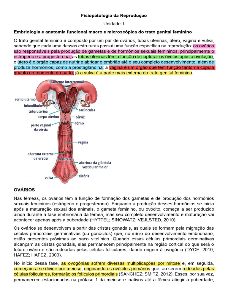 Fisiopatologia da Reprodução Animal | PDF | Testículo | Sexo