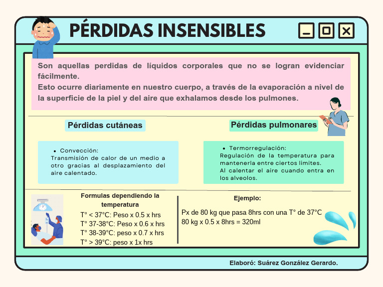 Pérdidas Insensibles | PDF