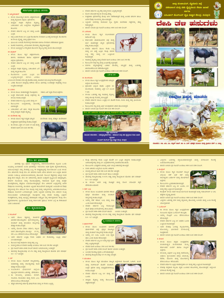 Desi Hasu-3 | PDF