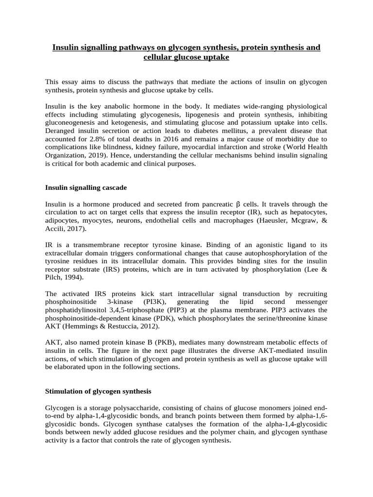 Insulin Signaling in Glucose and Protein Metabolism | PDF | Translation ...