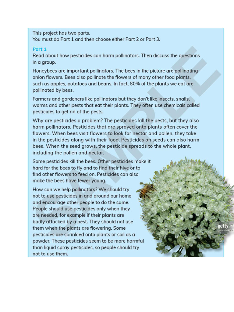 Pollination | PDF