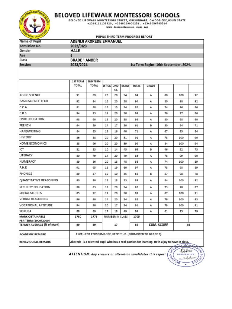 Progress Report for Grade 1 Student | PDF | Learning | Intelligence
