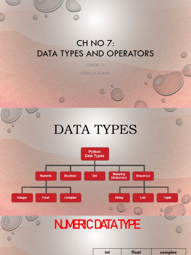 Data Types and Operators | PDF | Software Engineering | Computer ...