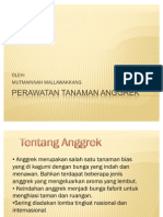 Perawatan Tanaman Anggrek