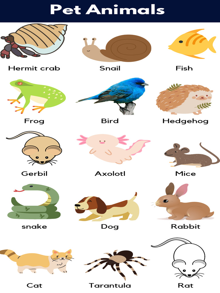 Animals with Pictures and Names PDF | PDF