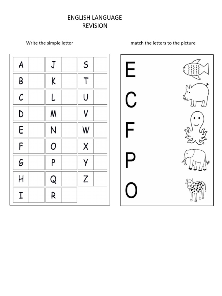 Basics For Special Learning Pdf
