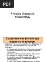 Download Utf-8Principle Diagnostic Microbiology by Najib Amil SN82862170 doc pdf