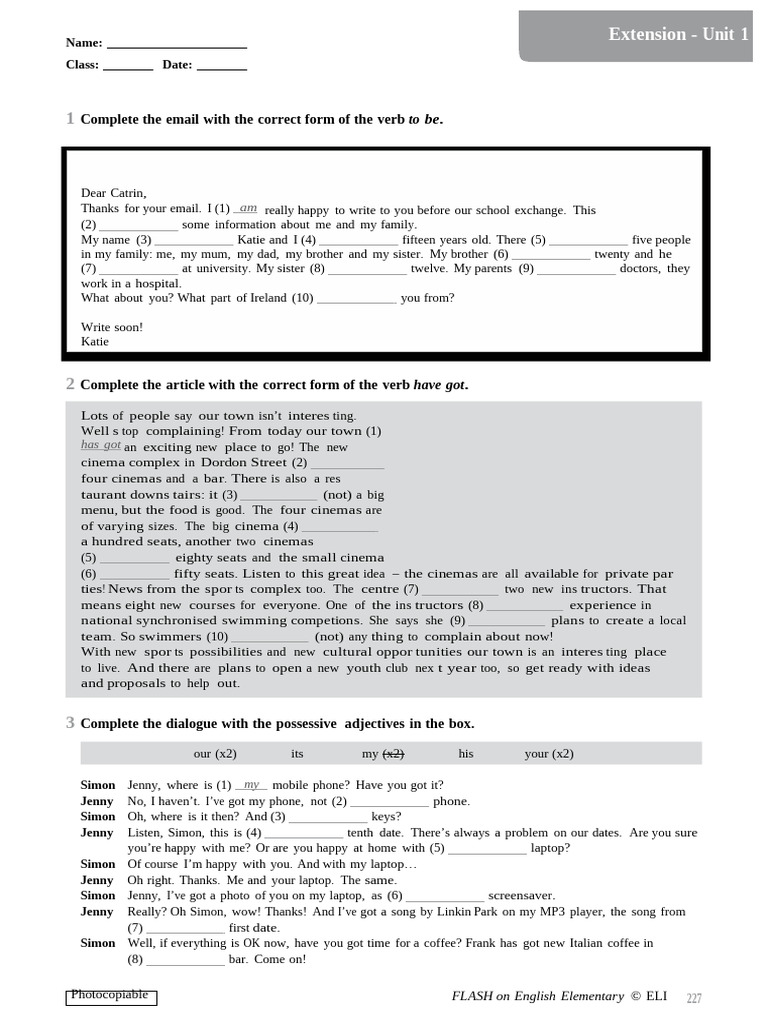 English Grammar Exercises for Beginners | PDF