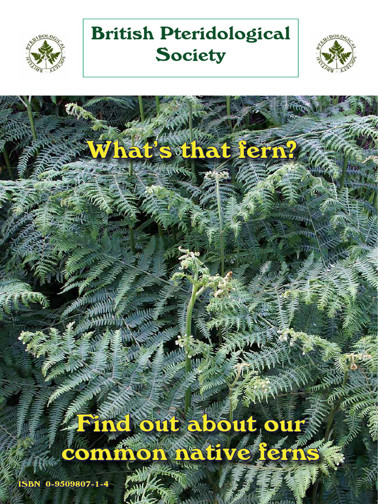 Fern Guide01 | PDF | Fern | Plants