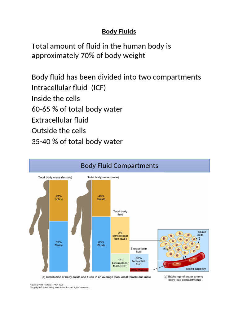 Overview of Body Fluid Types | PDF | Physiology | Tissue (Biology)