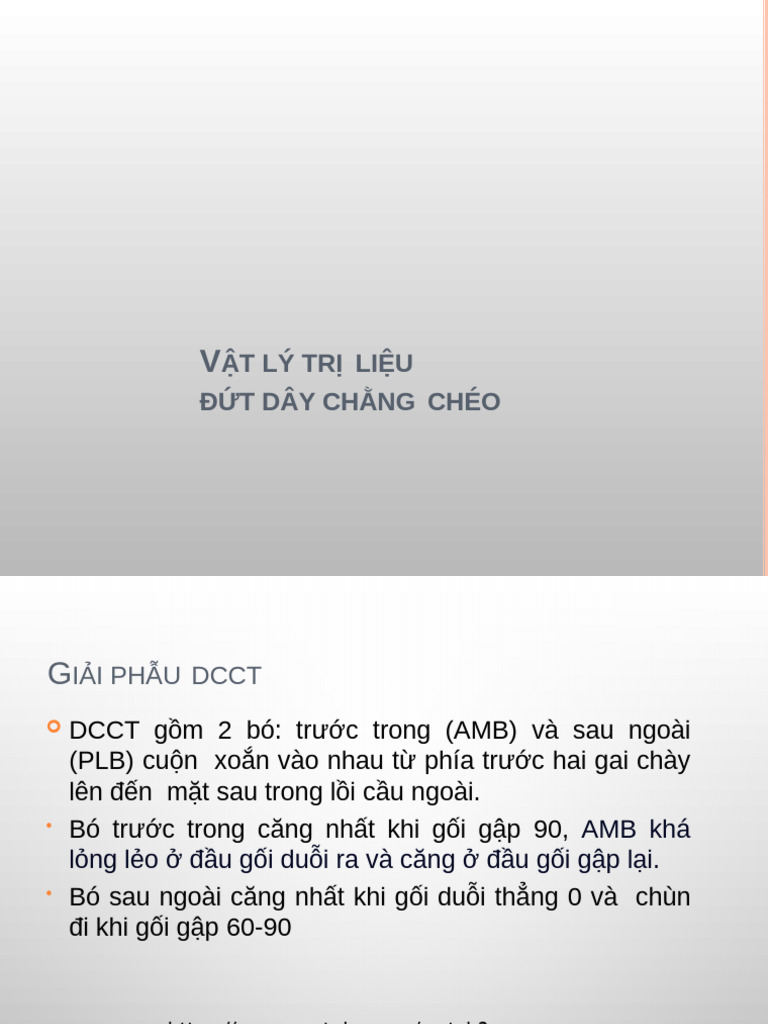 DCCT Vũ | PDF