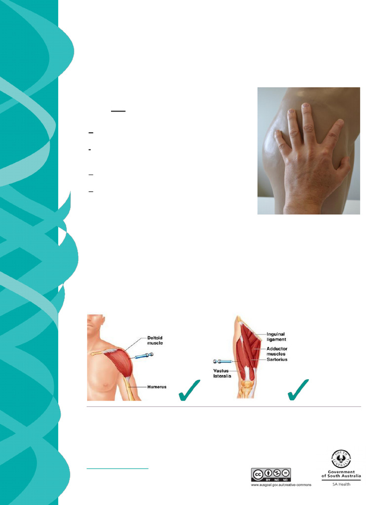 Ventrogluteal Injection Site Guide | PDF