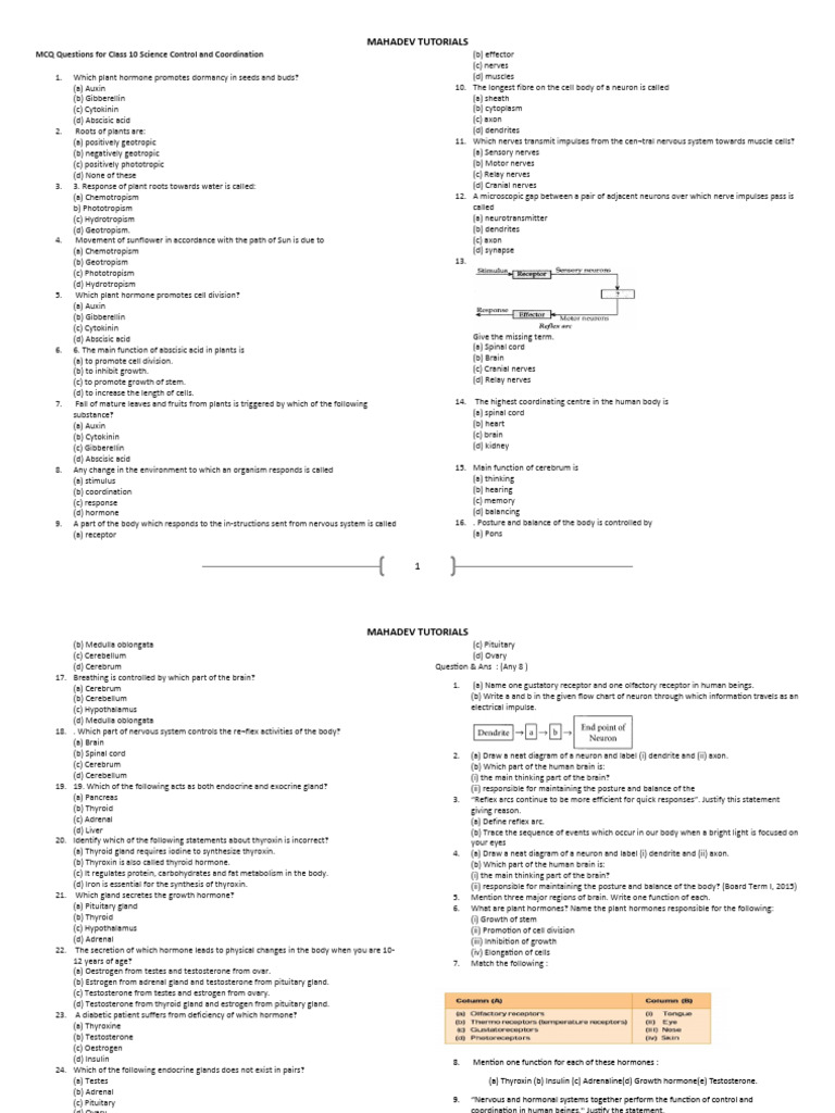 Class 10 Science MCQs on Coordination | PDF | Nerve | Hormone