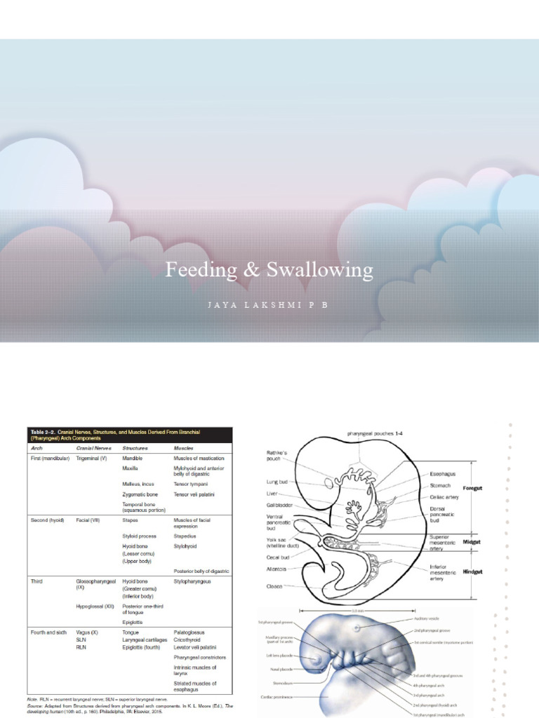 Pediatric Feeding and Swallowing Issues | PDF | Medical Specialties ...