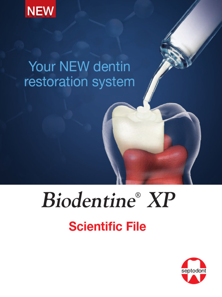 Biodentine XP Scientific File | PDF