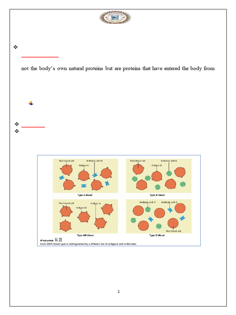 ABO and Rh System , | PDF | Blood Type | Animal Anatomy