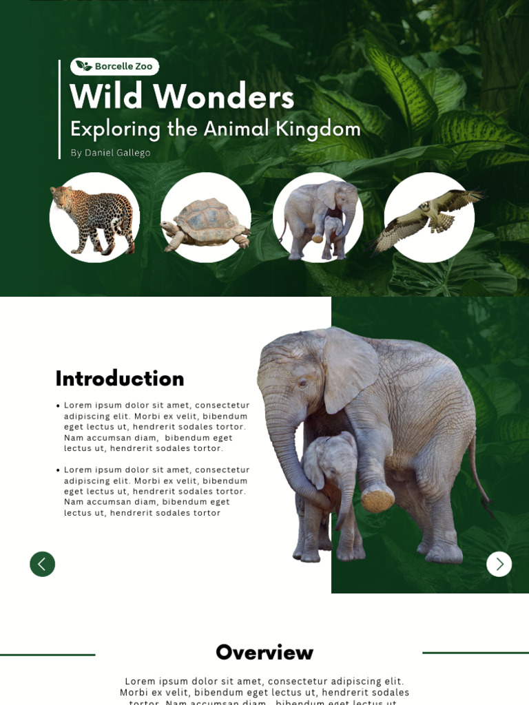 Green Organic Exploring The Animal Kingdom Presentation | PDF
