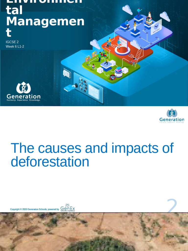 Igcse Enviro Deforestation Causes Impacts Management | PDF ...