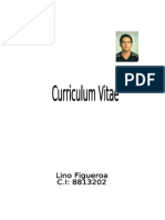 Curriculum Vitae Lino Figueroa