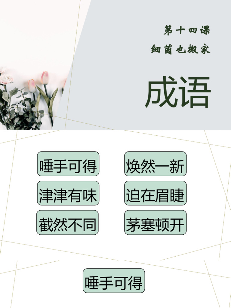 6年级 - 14 成语 | PDF