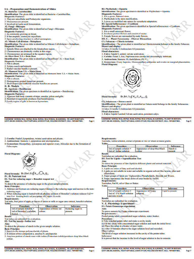 11th Bio-Botany EM Practical Notes-1 | PDF