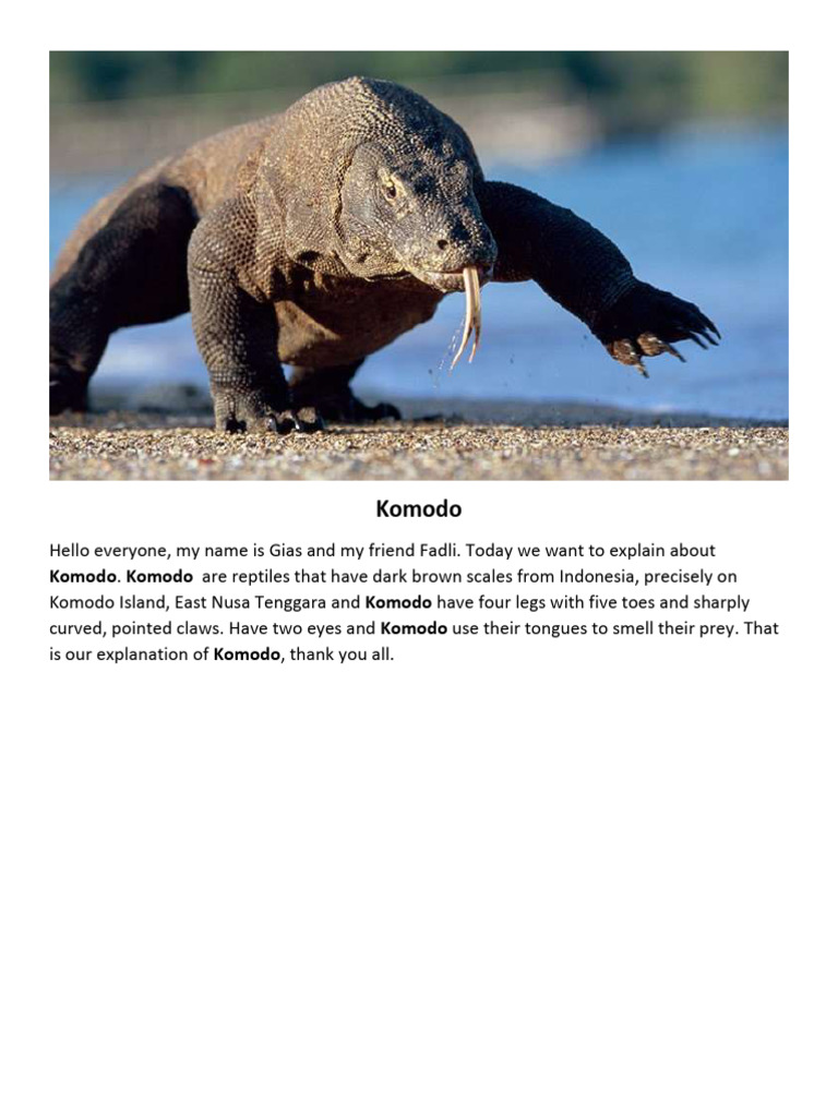 Komodo Dragon Facts and Habitat | PDF