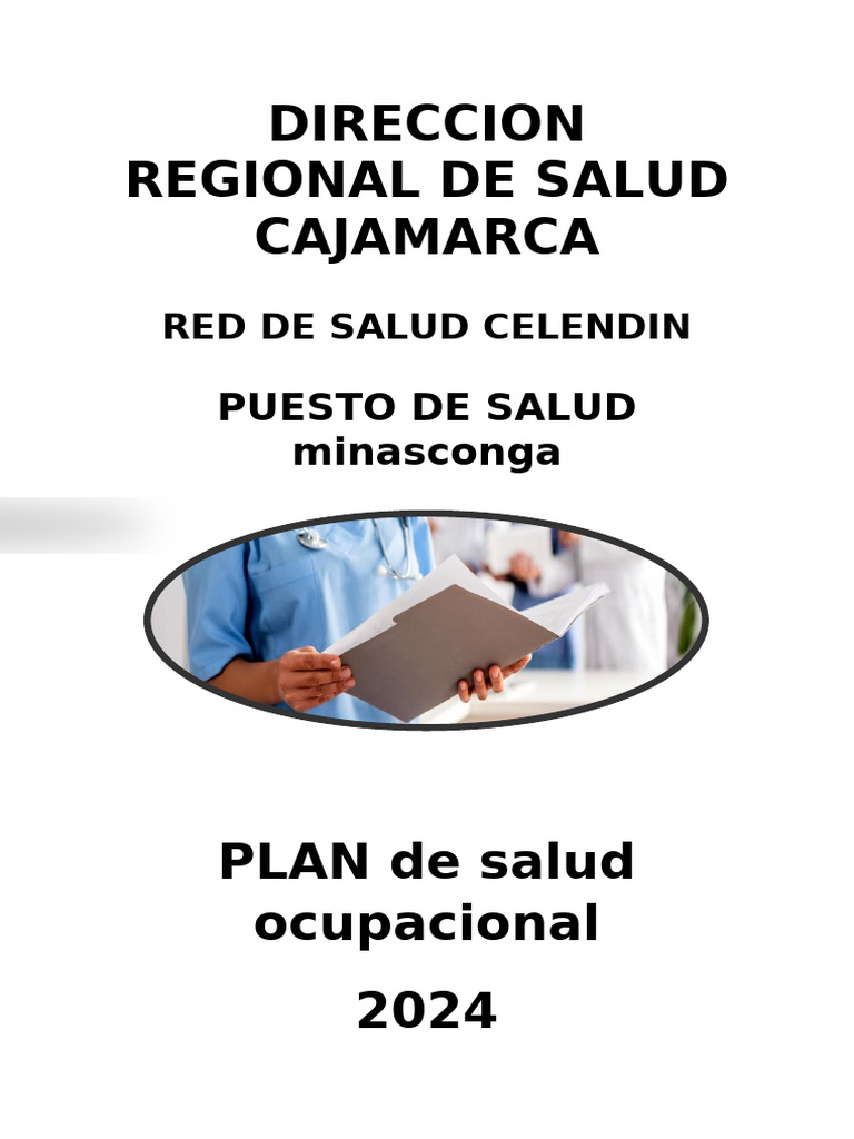 Plan de Salud Ocupacional 2024 Cajamarca | PDF | Seguridad y salud ...