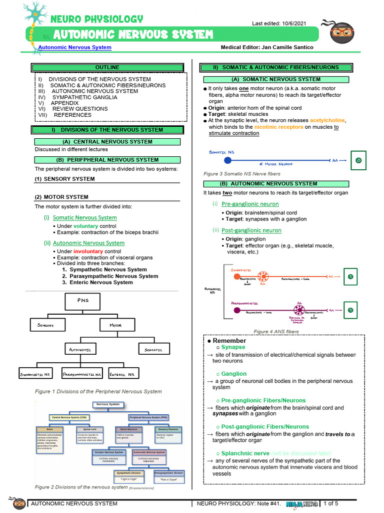 Autonomic Nervous System Overview | PDF | Autonomic Nervous System ...