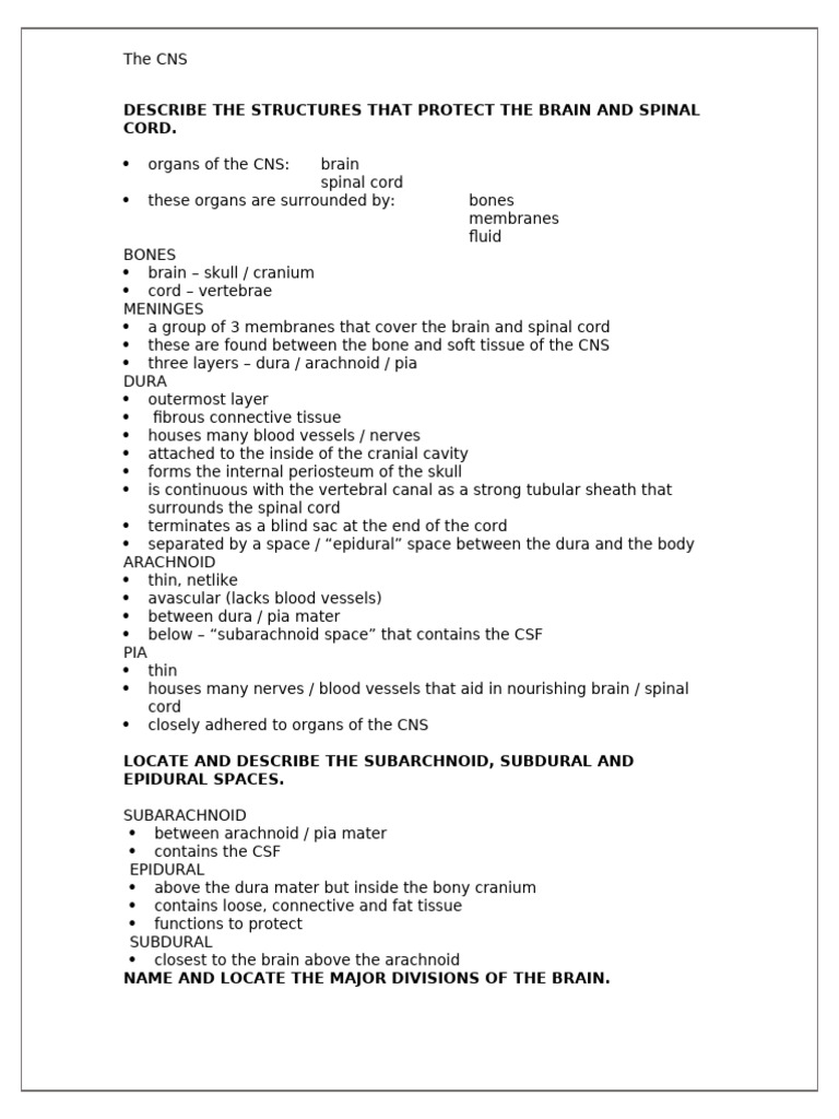 CNS Structure and Function Overview | PDF | Central Nervous System ...
